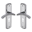 Centaur Door Handle on Plate - CEN1048-PC - iShom