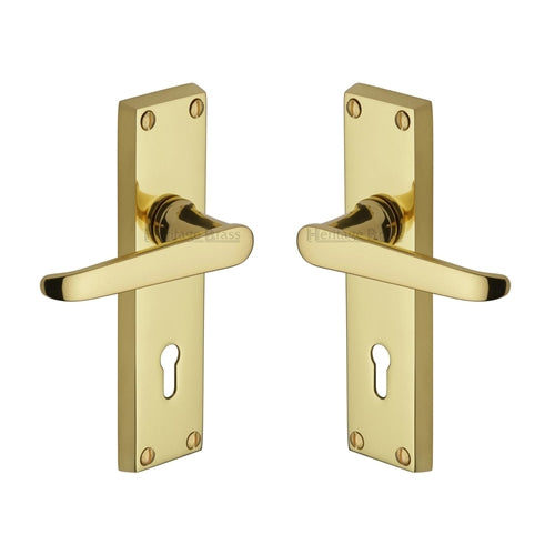 Victoria Door Handle on Plate - V3900-PB